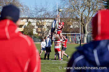 1st ever Spot Prawn and Fiddle Fest coming to James Bay – Saanich News - Saanich News