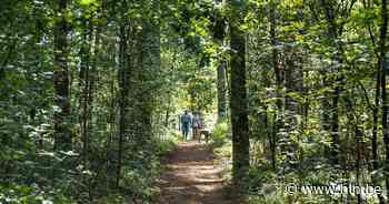 Nieuwe zomerzoektocht in Gerhagen gelanceerd | Tessenderlo | hln.be - Het Laatste Nieuws