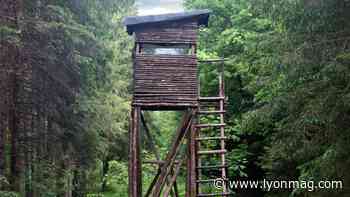 Près de Lyon : les miradors des chasseurs du Rhône de nouveau vandalisés - Lyon Mag