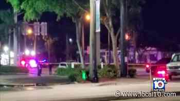 Police: 11-year-old, adult killed in crash while trying to push stalled vehicle out of road - WPLG Local 10