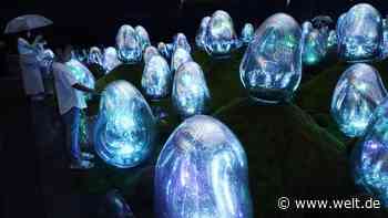 Digital-Art-Center: Ein „Hafen des Lichts“ für das Überseequartier - WELT