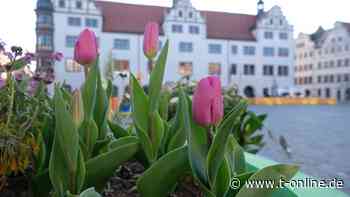 Torgau Landesgartenschau in Torgau eröffnet: Guter Besuch zum Start - t-online
