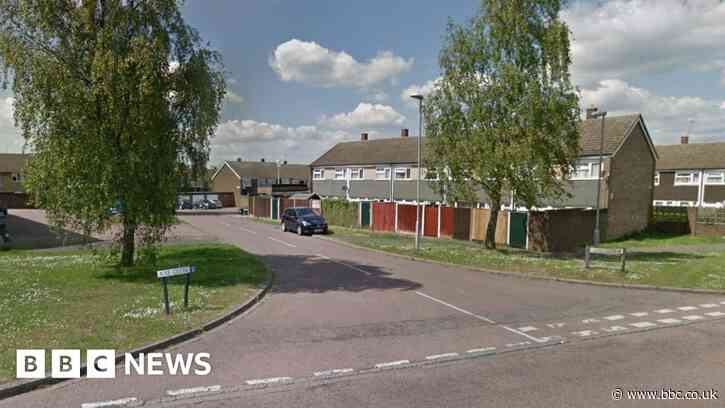 Luton murder arrest after man is struck by car - BBC