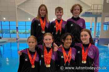 National Finals places are secured by Luton Diving Club - Luton Today
