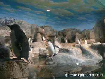 Penguins, Pride events, and Pivot Arts - Chicago Reader