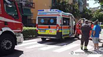 Vigevano, travolta sul viale: ecco come è morta l'ex direttrice delle farmacie comunali - IL GIORNO