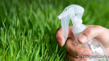 Sono un esperto di giardinaggio: come ottenere il prato più verde mescolando articoli per la cucina e per la - Tebigeek