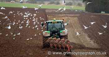 Dimbleby says new Government food plan is 'not a strategy' - Grimsby Live