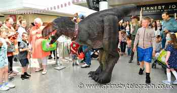 T-Rex stalks Freshney Place in Grimsby – and poses for selfies - Grimsby Live