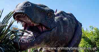 Roarsome dinosaur fun coming to Grimsby's Freshney Place - Grimsby Live