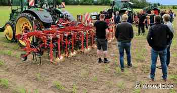 Ohne Spritzmittel: Wenn der Computer das Unkrautzupfen steuert | Lokale Nachrichten aus Bad Salzuflen - Lippische Landes-Zeitung