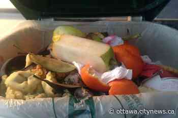 North Grenville's organic waste program sees 20 per cent of garbage diverted from landfill - Ottawa.CityNews.ca