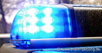 Schäferhunde auf B9 bei Koblenz aus Anhänger geschleudert: Tiere verenden an Unfallstelle - Rhein-Zeitung