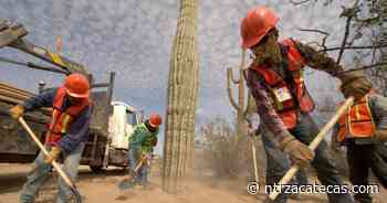 Peñoles y Fresnillo plc, comprometidos con la flora y fauna - NTR Zacatecas .com