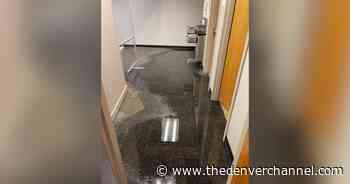 Aurora DMV closed indefinitely for sewage backup in building - Denver 7 Colorado News