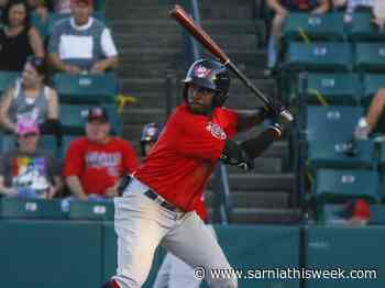 Goldeyes grind out another win against Cougars | Sarnia & Lambton County This Week - Sarnia and Lambton County This Week