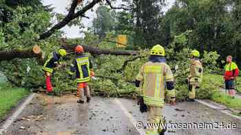 Eiszeit-Lehren für unser Klima: „Es geht ums Überleben unserer Zivilisation!“