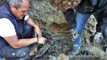 Fund in Bayern bringt Erkenntnisse zum Aussterben der Dinos - Süddeutsche Zeitung - SZ.de