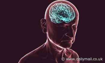 Study suggests women's brain temperatures are higher than men's... and are more likely to top 40C 