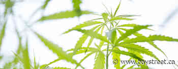 Aurora Cannabis Posts $1 Billion Net Loss - Baystreet.ca