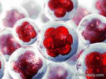 Harvard Scientists Have Developed a Revolutionary New Treatment for Diabetes