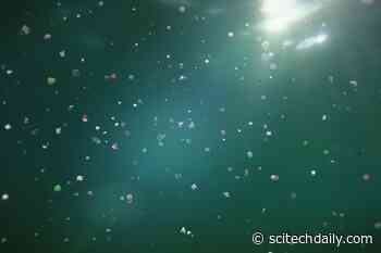 Plastic Pollution in the Ocean May Harbor Novel Antibiotics