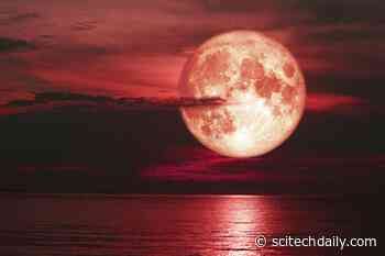 Don’t Miss: The Strawberry Supermoon