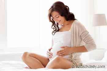 A New Technique Can Predict Pregnancy Success and Timing