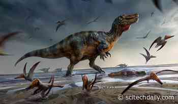 Europe’s Largest Predatory Dinosaur Unearthed on the Isle of Wight