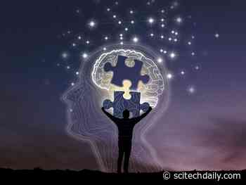 Future Large Scale Testing for Alzheimer’s: New Technology Unveils the Mysteries of the Disease