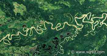 Reshuffled Rivers Bolster the Amazon's Hyper-Biodiversity - WIRED