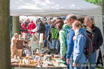 Schnäppchen jagen im Mondlicht