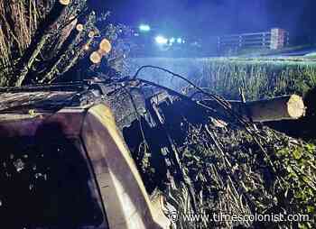 Firefighter pulls woman from burning SUV after Nanaimo crash - Times Colonist