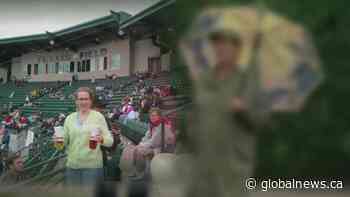 Global News reunites Seattle family with generous strangers from St. Albert - Global News