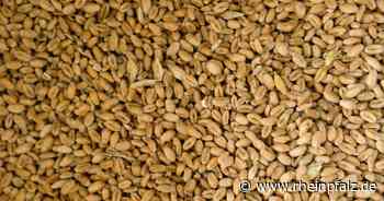 EU: Moskau blockiert Getreide-Exporte aus der Ukraine - Wirtschaft - Rheinpfalz.de