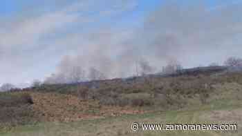 Incendio en un pequeño municipio de la provincia de Zamora - Zamora News