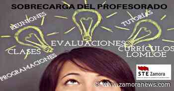 STE Zamora denuncia la sobrecarga que suponen para el profesorado los nuevos currículos de la LOMLOE - Zamora News