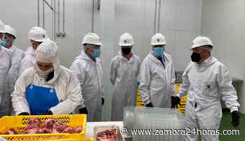 Zamora, por encima de la media autonómica en emprendimiento y muy por debajo de la media nacional - Zamora 24 Horas