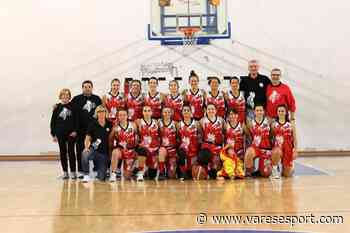 Basket Femminile Gallarate, parla Fontanel: “Stagione dolcemara”. Isotec ancora al fianco di Bfg - VareseSport