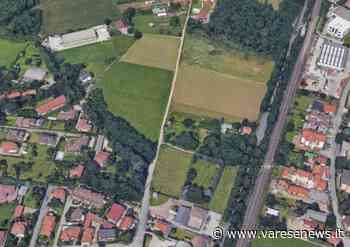 A ottobre via al cantiere della ferrovia Malpensa-Gallarate, si parte dal taglio delle piante - varesenews.it