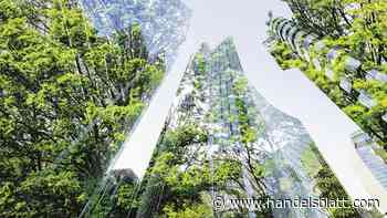 Ranking: Investieren mit gutem Gewissen: Die besten nachhaltigen Fonds