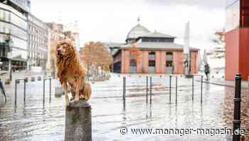 Führungsstil: Finden Sie Ihren Stil - Harvard Business manager