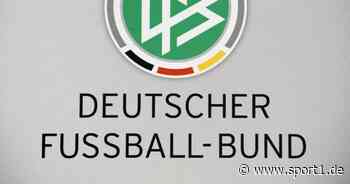 Pilotjahrgang beendet Programm "Management im Profifußball" - SPORT1