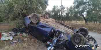 Pauroso incidente sulla Corato - Trani, ferito automobilista - CoratoLive.it