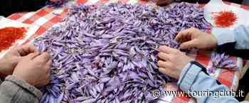 Viaggio gastronomico nelle terre d'Abruzzo: da L'Aquila a Sulmona - Touring Club