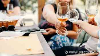 Degustazione vini con passeggiata in vigna per San Ranieri - PisaToday