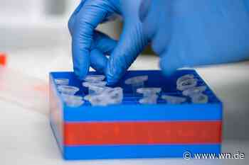 Inzidenz bleibt deutlich über 400 in Münster