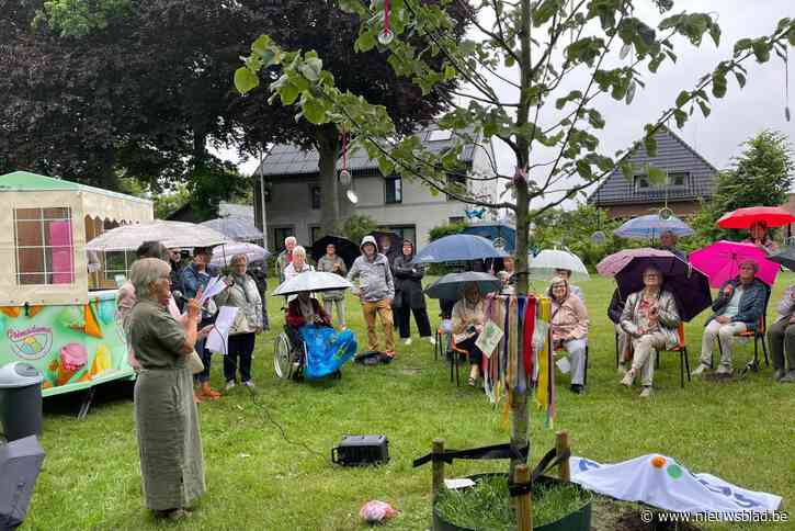 Samana Peer plant vredesboom voor Mariale Feesten