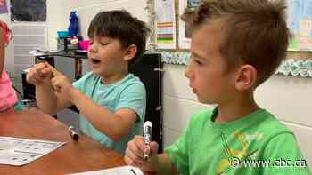 Alberta teachers, schools scrambling to prepare for launch of new curriculum