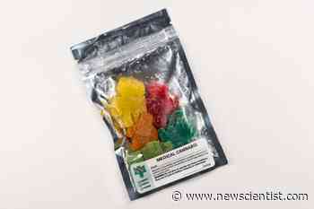 Medical cannabis eases chronic pain – but only if it has very high THC - New Scientist
